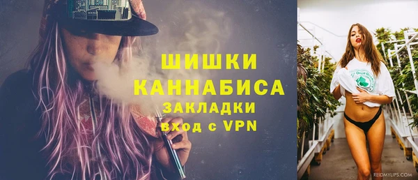 амф Протвино